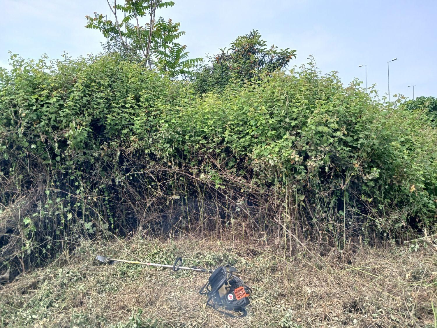 خدمات علف تراشی و قطع چوب و حرص درخت|خدمات باغبانی و درختکاری|قائمشهر, |دیوار