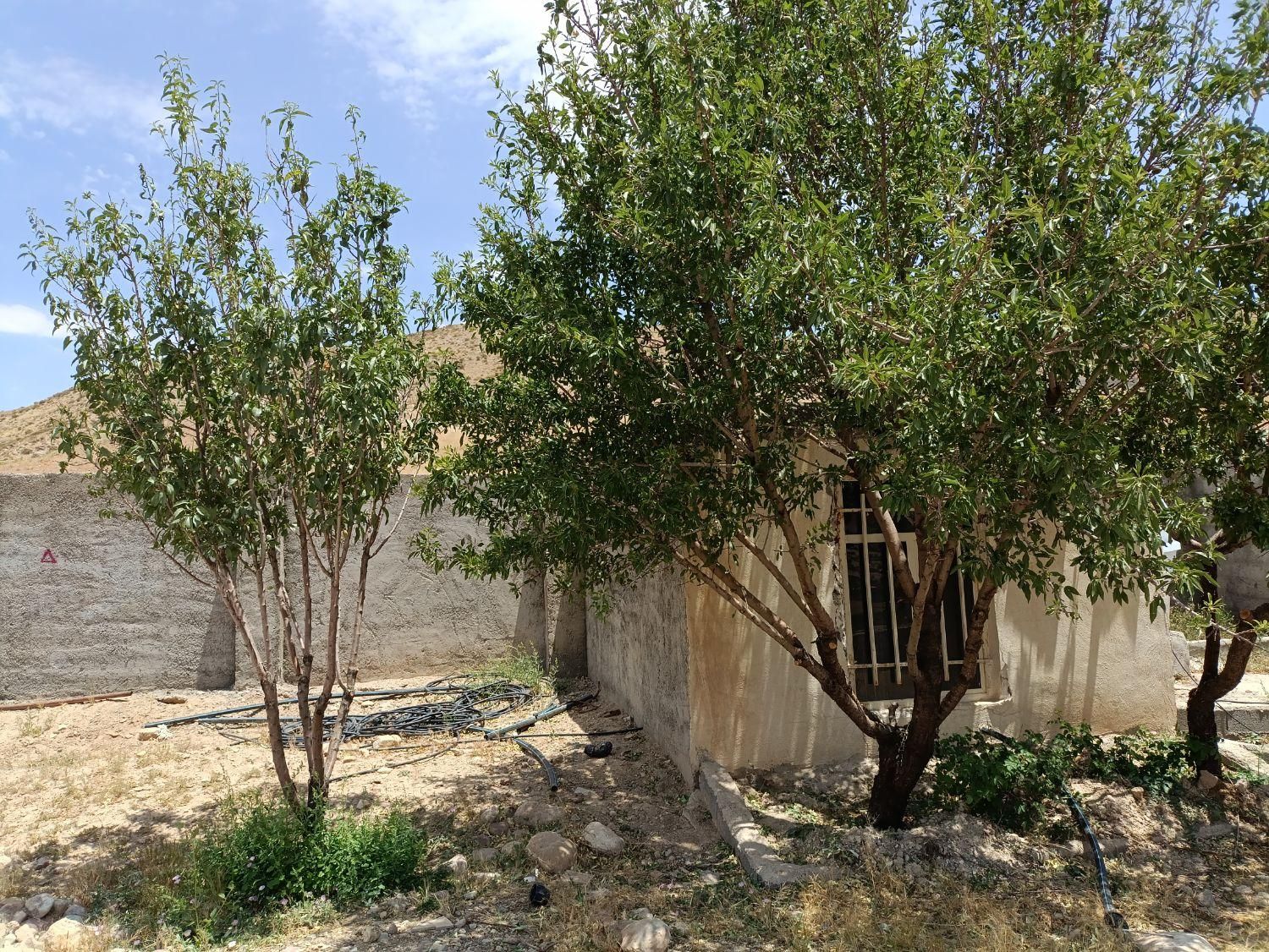 ۴۰۰متر زمین چهاردیواری  با درخت|فروش زمین و ملک کلنگی|تهران, حکیمیه|دیوار