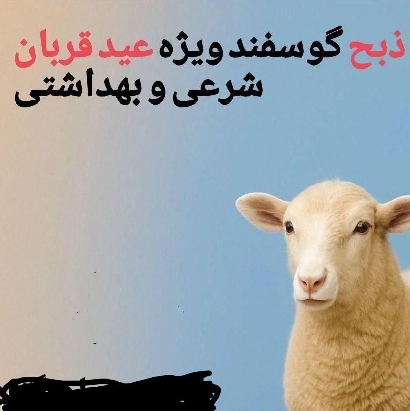 عید قربان با ذبح شرعی و بهداشتی|خدمات پذیرایی، مراسم|لاهیجان, قیام|دیوار