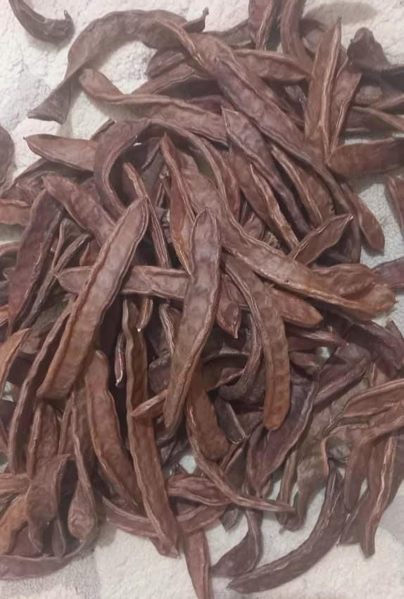 خرنوب برای درمان ناتوانی جنسی (۷۰۰g)|خوردنی و آشامیدنی|تهران, اتابک|دیوار