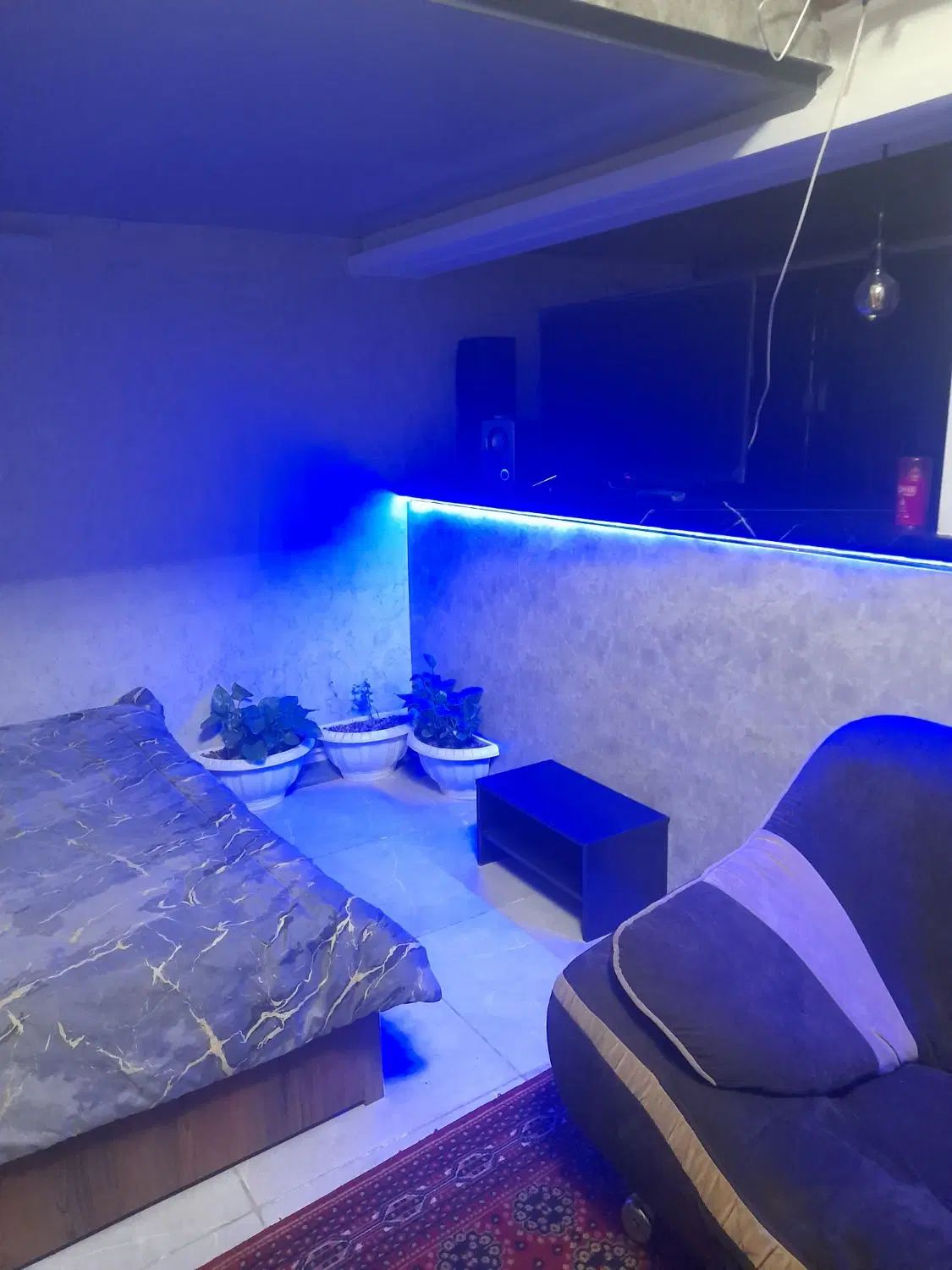 اجاره روزانه/آپارتمان ۴۵ متری|اجارهٔ کوتاه‌مدت آپارتمان و سوئیت|کرمان, |دیوار