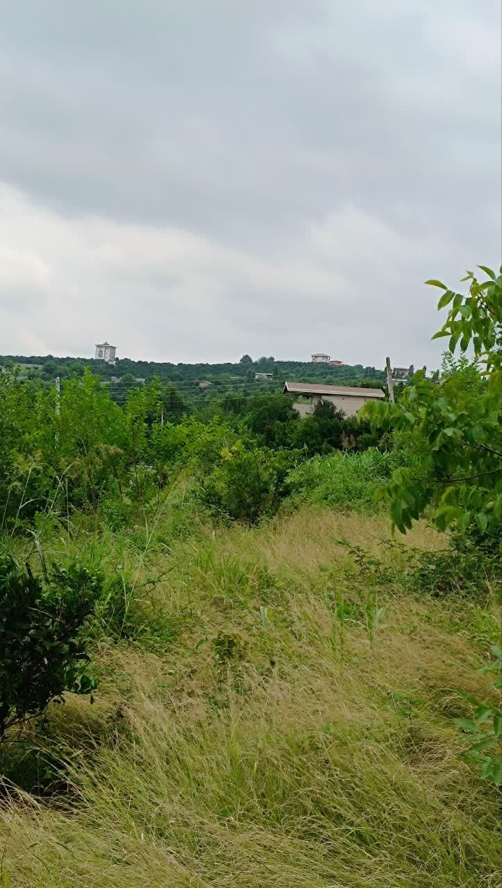 ۳۵۰ متر زمین بزچفت بابلکنار|فروش زمین و ملک کلنگی|بابل, |دیوار