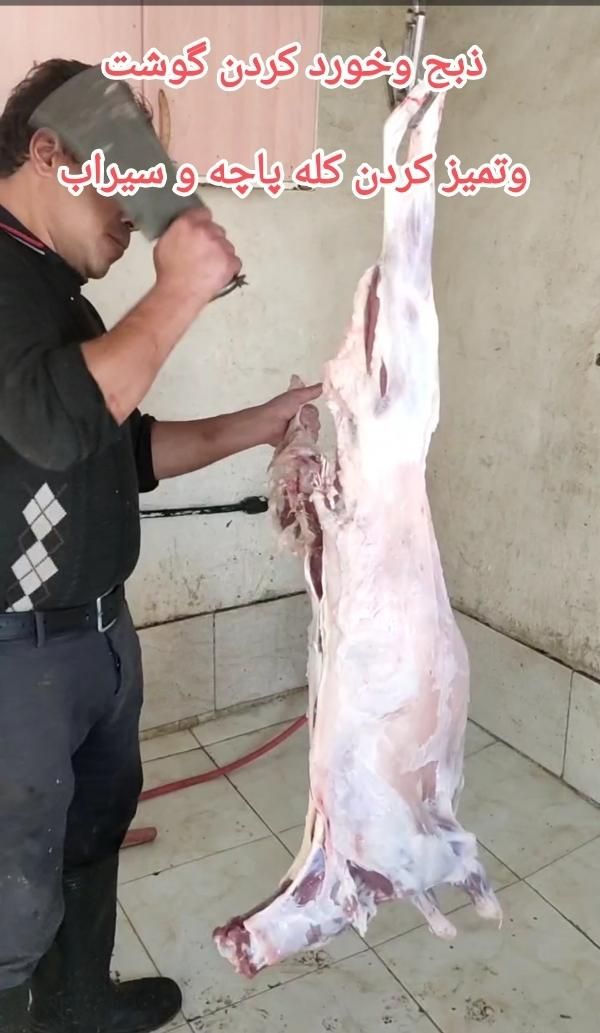 قصاب وذبح گوسفند وتمیز کردن کله پاچه شبانه روزی|خدمات پذیرایی، مراسم|اصفهان, ملک‌شهر|دیوار