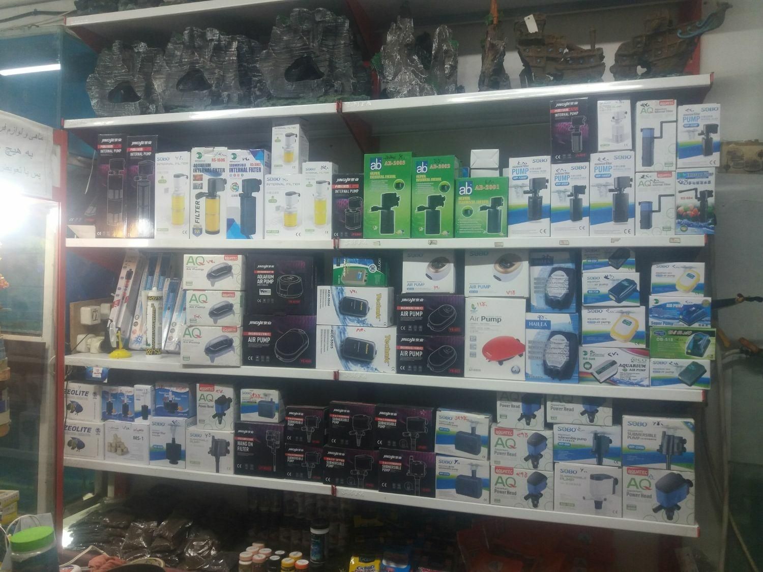 فروش لوازم اکواریوم ماهی|ماهی|پاکدشت, |دیوار