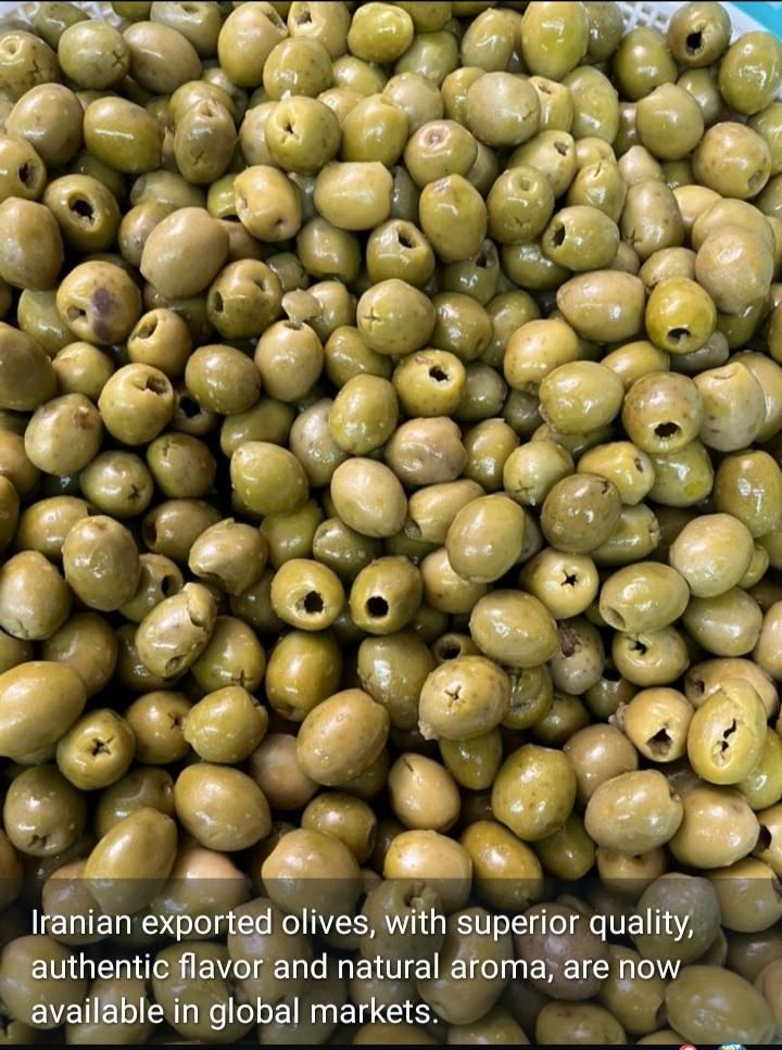 فروش عمده زیتون و روغن زیتون|خوردنی و آشامیدنی|رشت, نخودچر|دیوار