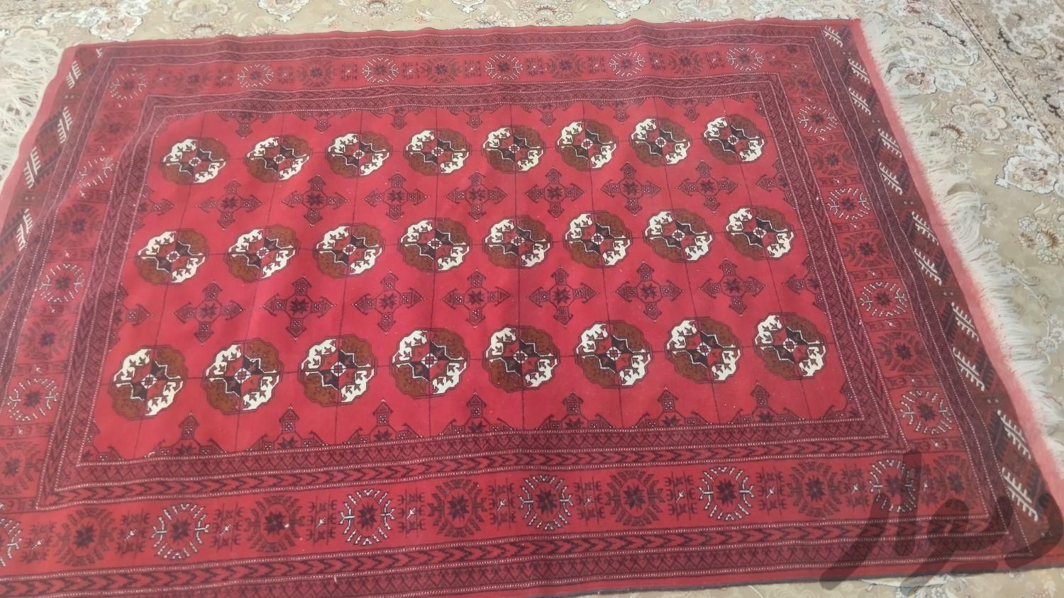 فرش پشمی ترکمن سالم وخوشرنگ|فرش|مشهد, هفت تیر|دیوار