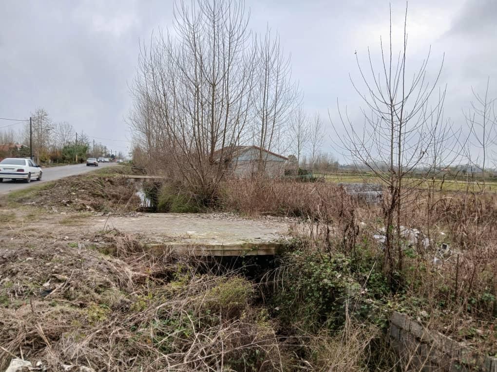 فروش یک قطعه زمین برای سرمایه گذاری|فروش زمین و ملک کلنگی|لشت نشا, |دیوار