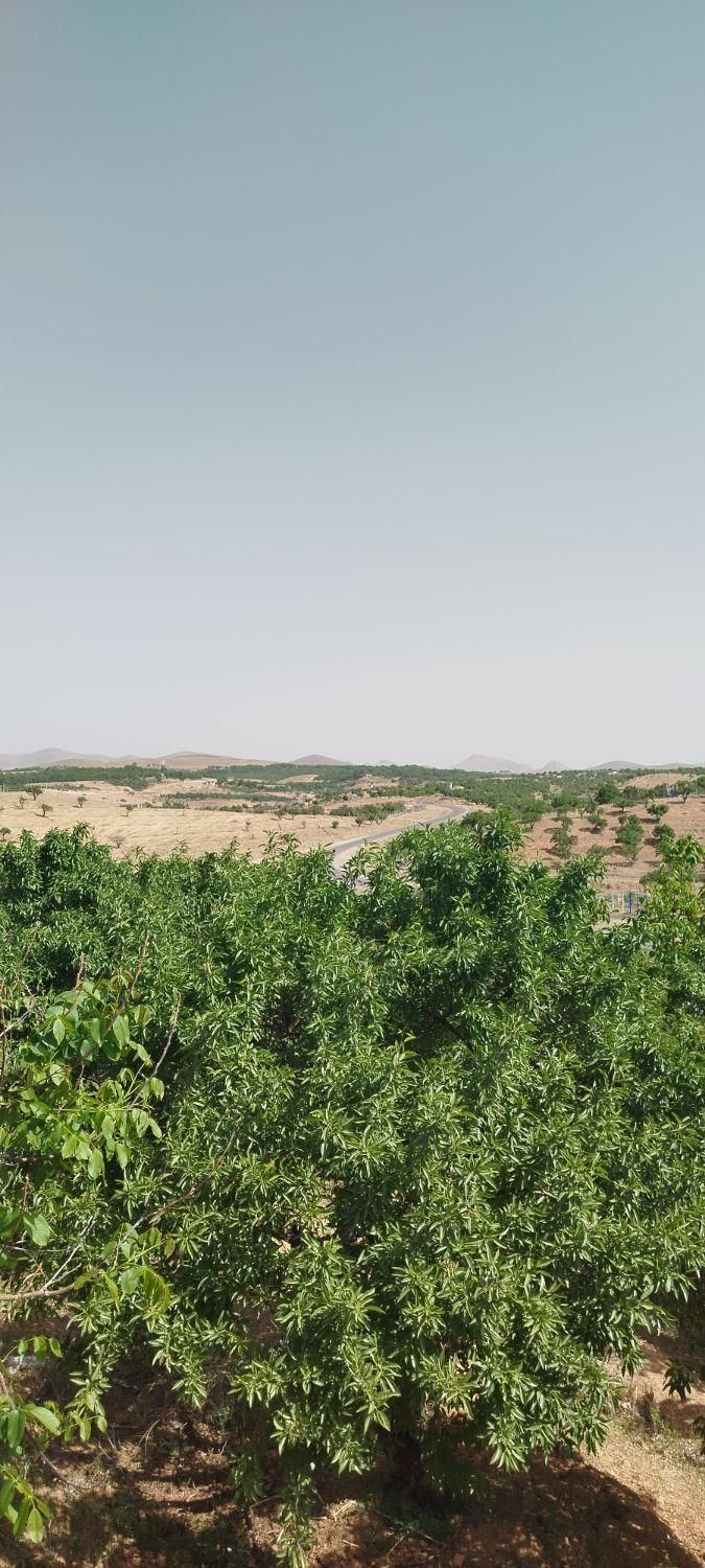 فروش زمین ۶۱۰ متری در محدوده پل زمانخان شوراب|فروش زمین و ملک کلنگی|اصفهان, ناژوان|دیوار