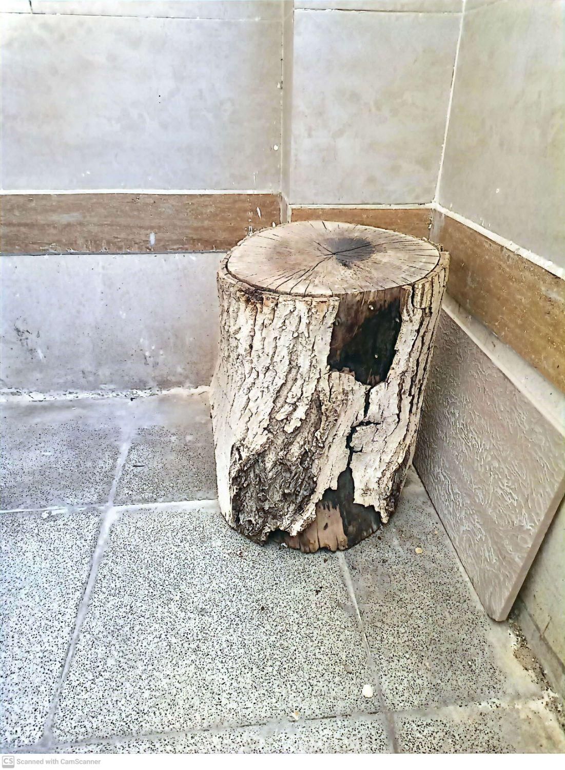 کنده درخت|صنایع دستی و سایر لوازم تزئینی|اصفهان, شفق|دیوار
