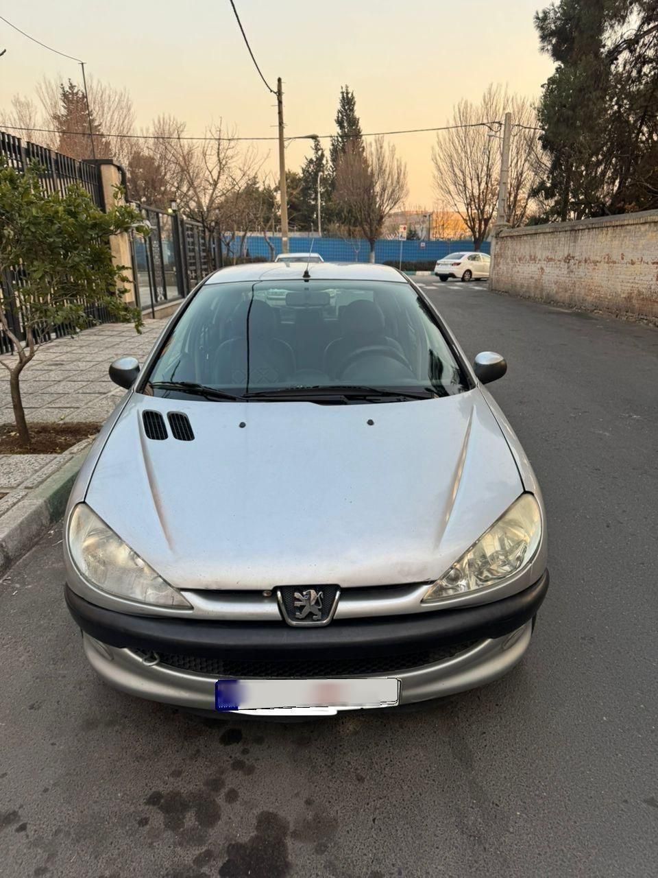 پژو ۲۰۶ تیپ ۲ مدل ۱۳۸۶|خودرو سواری و وانت|تهران, پاسداران|دیوار