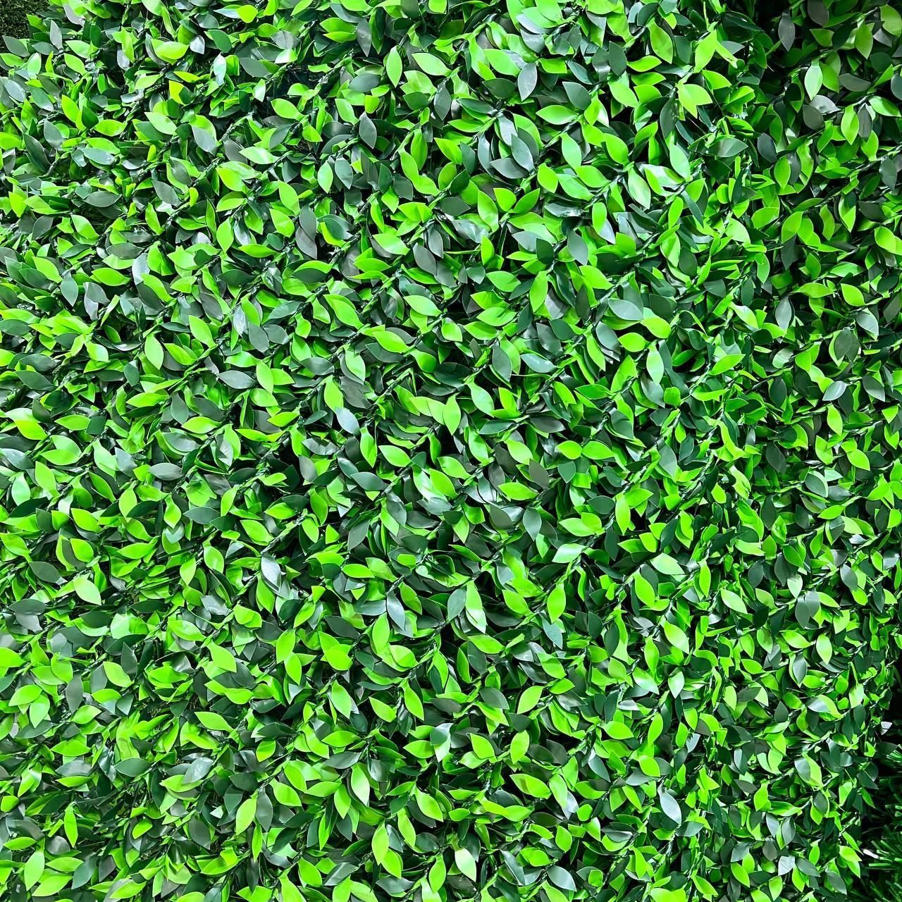 فنس برگی/فنس چمنی|مصالح و تجهیزات ساختمان|تهران, مهران (سیدخندان)|دیوار