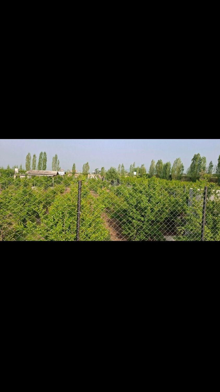 زمین باغ 450مترسنددارباامتیازآب فنس کشی آماده|فروش زمین و ملک کلنگی|گرگان, |دیوار