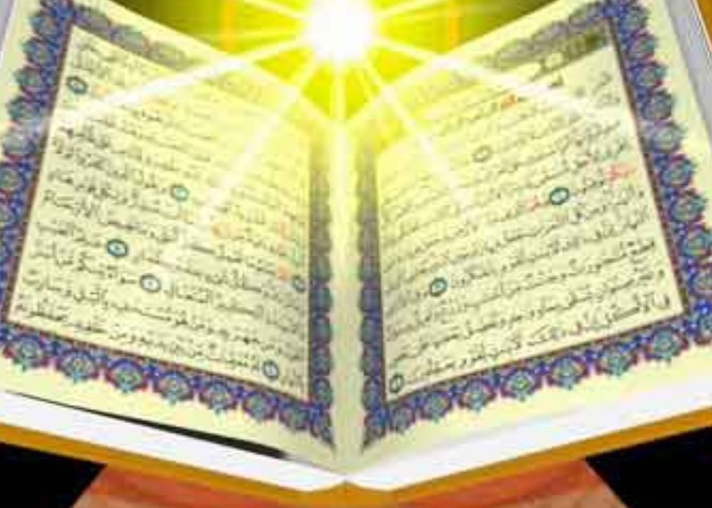 انجام واجبات،حافظ قران،تفسیر، نهج البلاغه|فعالیت داوطلبانه|شاهین‌شهر, حافظ جنوبی|دیوار