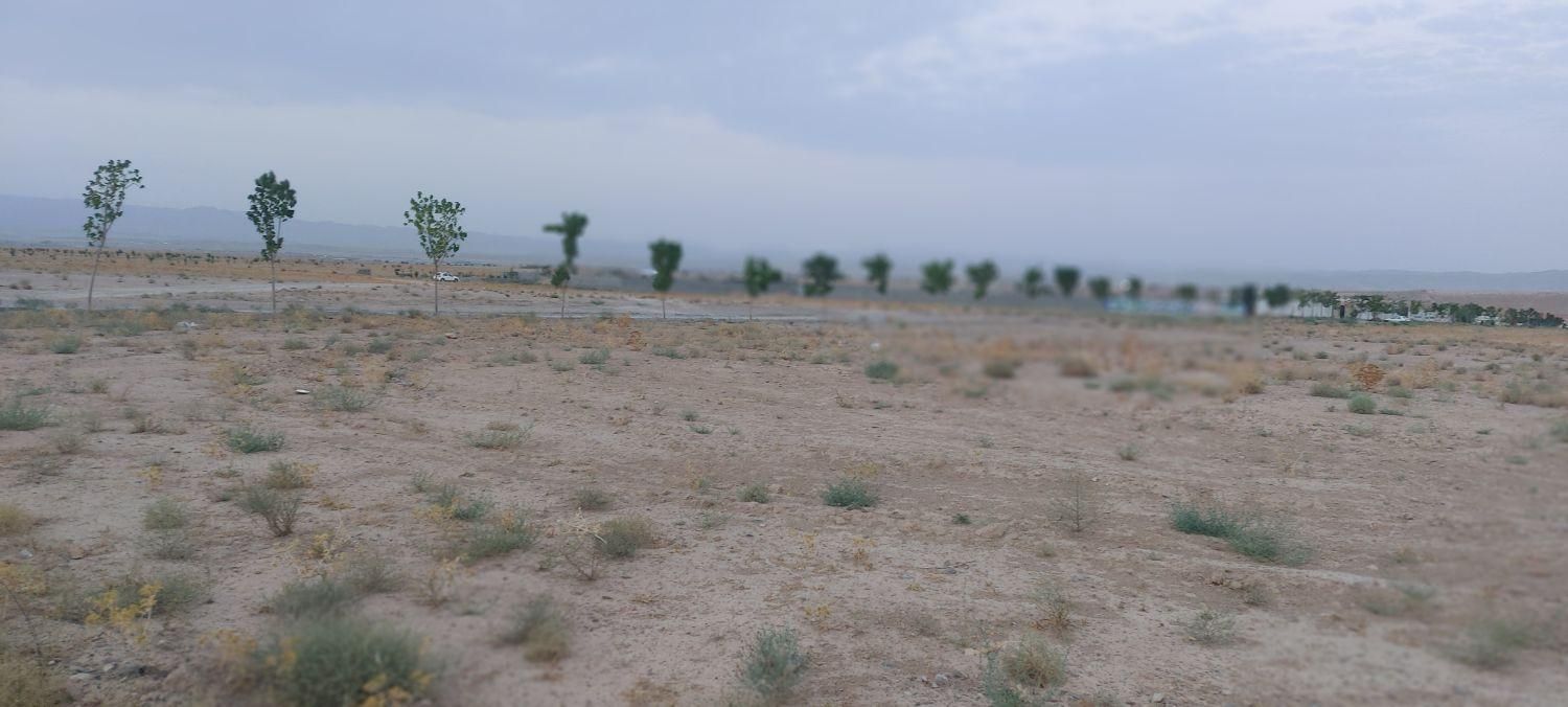 زمین ملکی ۳۰۰متری با وکالت کلاکوب|فروش زمین و ملک کلنگی|مشهد, امام خمینی|دیوار