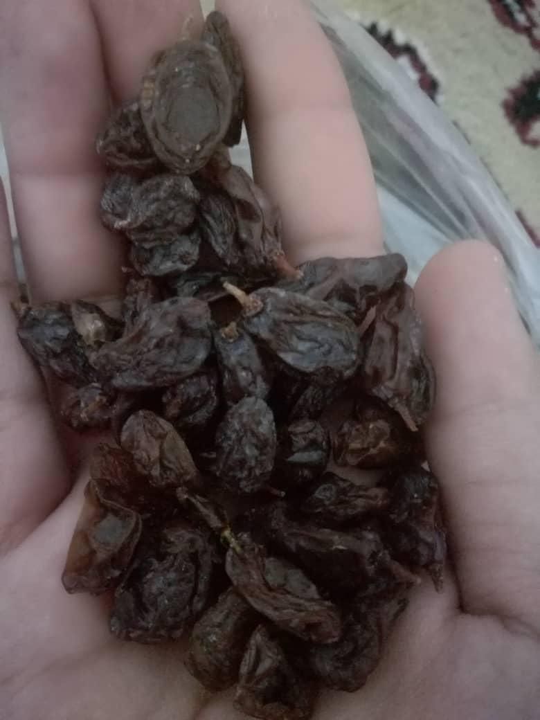 فروش عمده مویز|عمده‌فروشی|شیراز, کاراندیش|دیوار