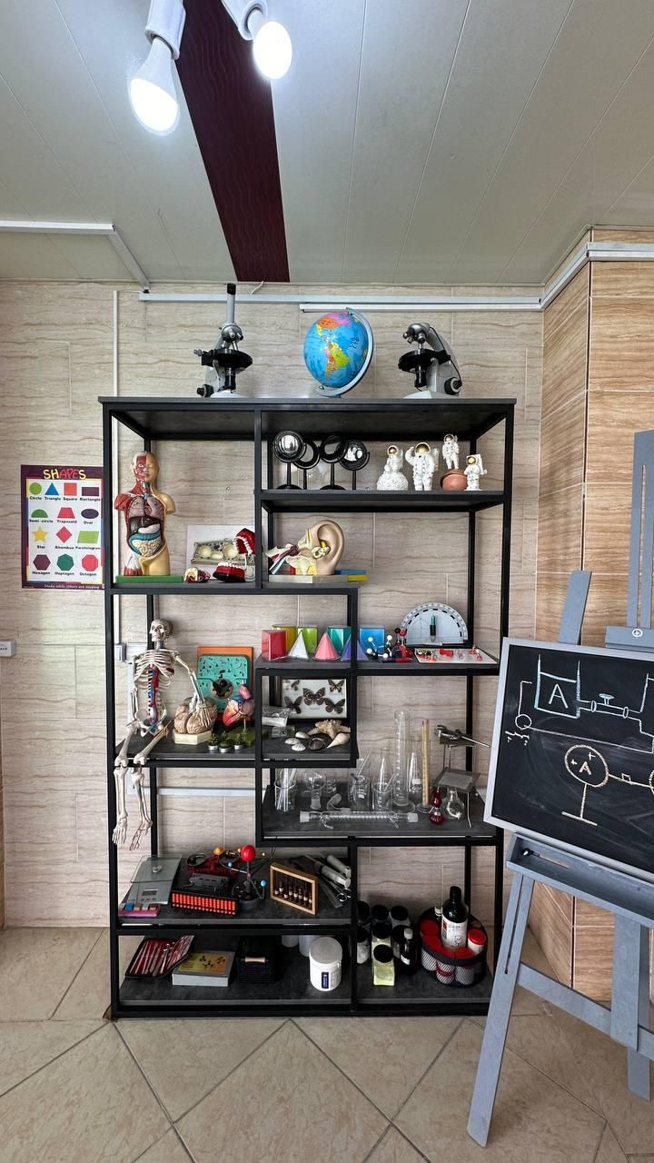 طراحی ساخت رگال قفسه ویترین عمده تکی|فروشگاه و مغازه|تبریز, |دیوار