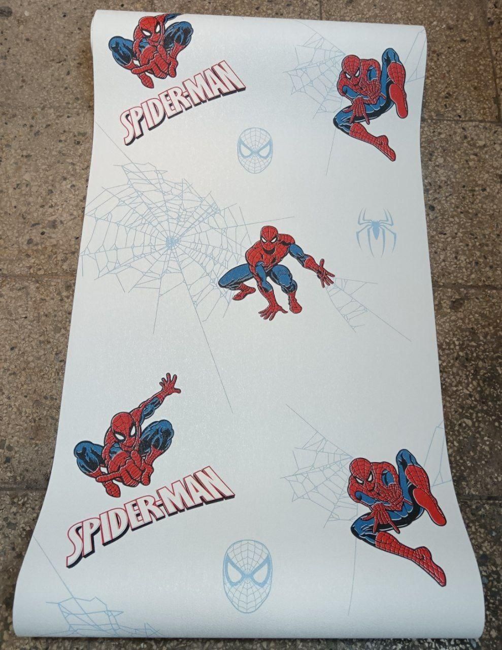 پخش کاغذ دیواری فقط رول 120 هزارتومان|مصالح و تجهیزات ساختمان|مشهد, کلاهدوز|دیوار