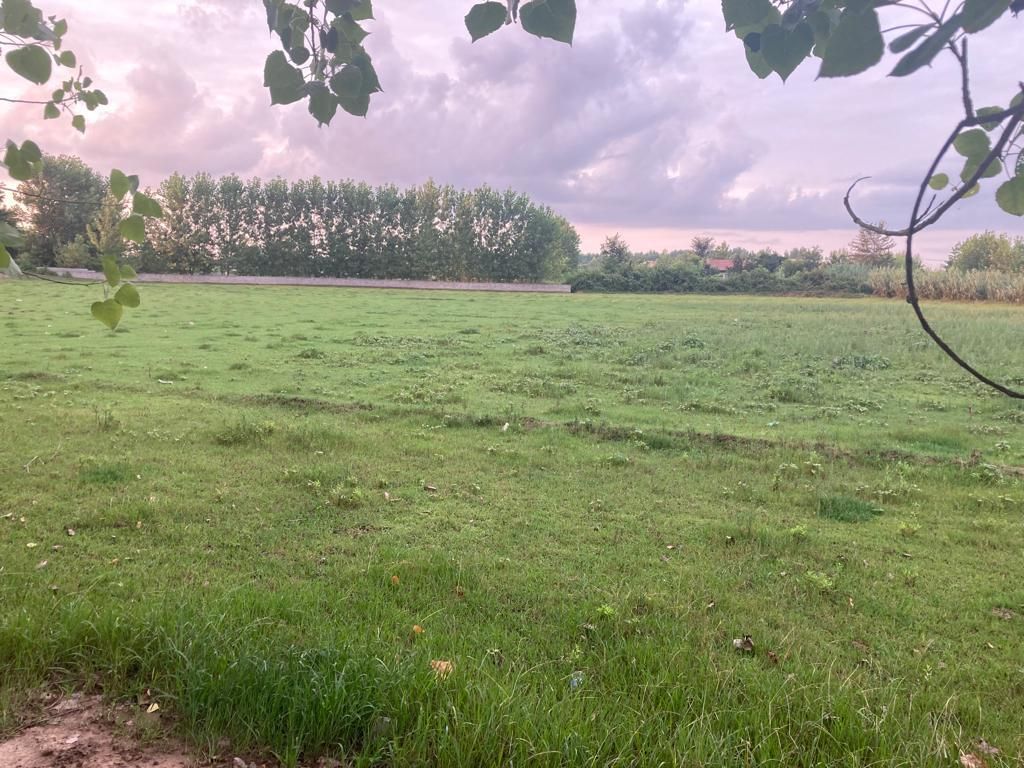 ۹۰۰۰متر زمین باغی/بر آسفالت/ملک ۳ بر/داخل طرح هادی|فروش زمین و ملک کلنگی|رشت, کاکتوس|دیوار