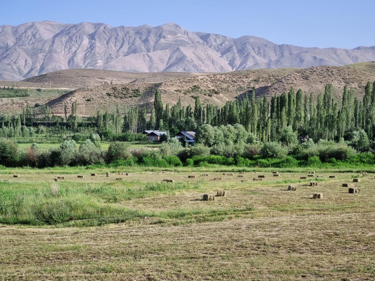 450متر/کاربری مسکونی/جواز ساخت/دید ابدی کوهستان/|فروش زمین و ملک کلنگی|فیروزکوه, |دیوار