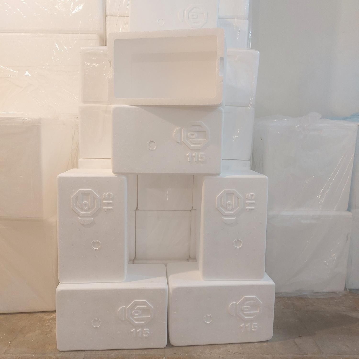 کولباکس جعبه کارتن یخدان یونولیتی صادراتی box کوچک|ظروف نگهدارنده، پلاستیکی، یک‌بارمصرف|تهران, میدان ولیعصر|دیوار