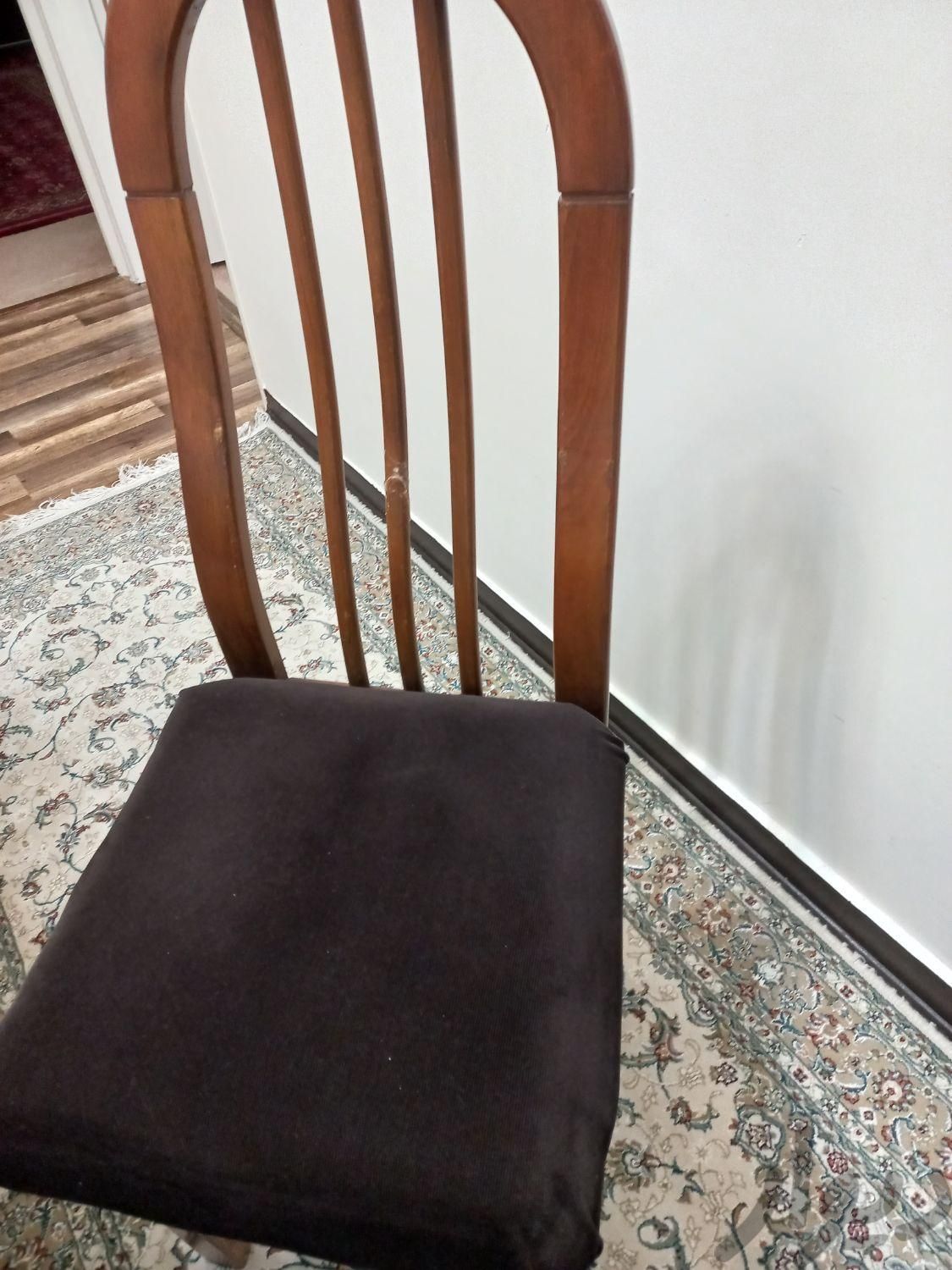 صندلی|صندلی و نیمکت|اهواز, کوروش (کوی ملت)|دیوار