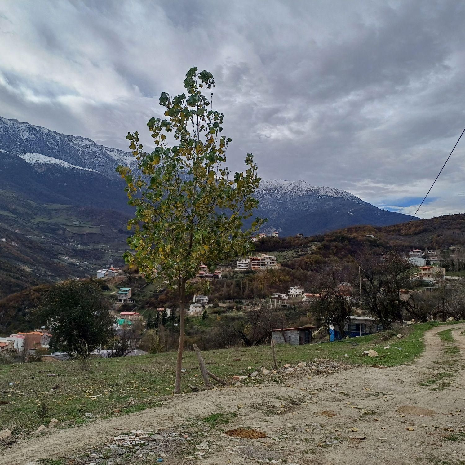 اجاره ویلا دوخواب در روستای زیارت(بام زیارت)|اجارهٔ کوتاه‌مدت ویلا و باغ|گرگان, |دیوار