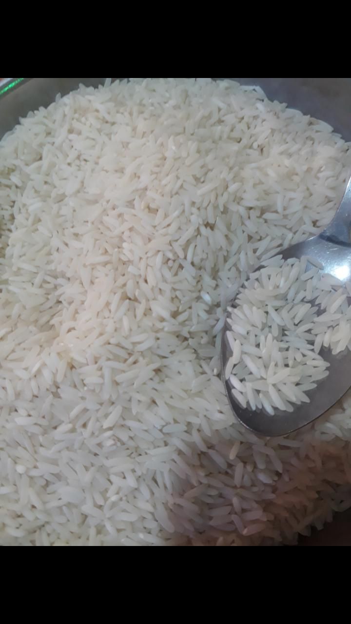 برنج طارم هاشمی کشت دوم شمال|خوردنی و آشامیدنی|تهران, جوادیه|دیوار