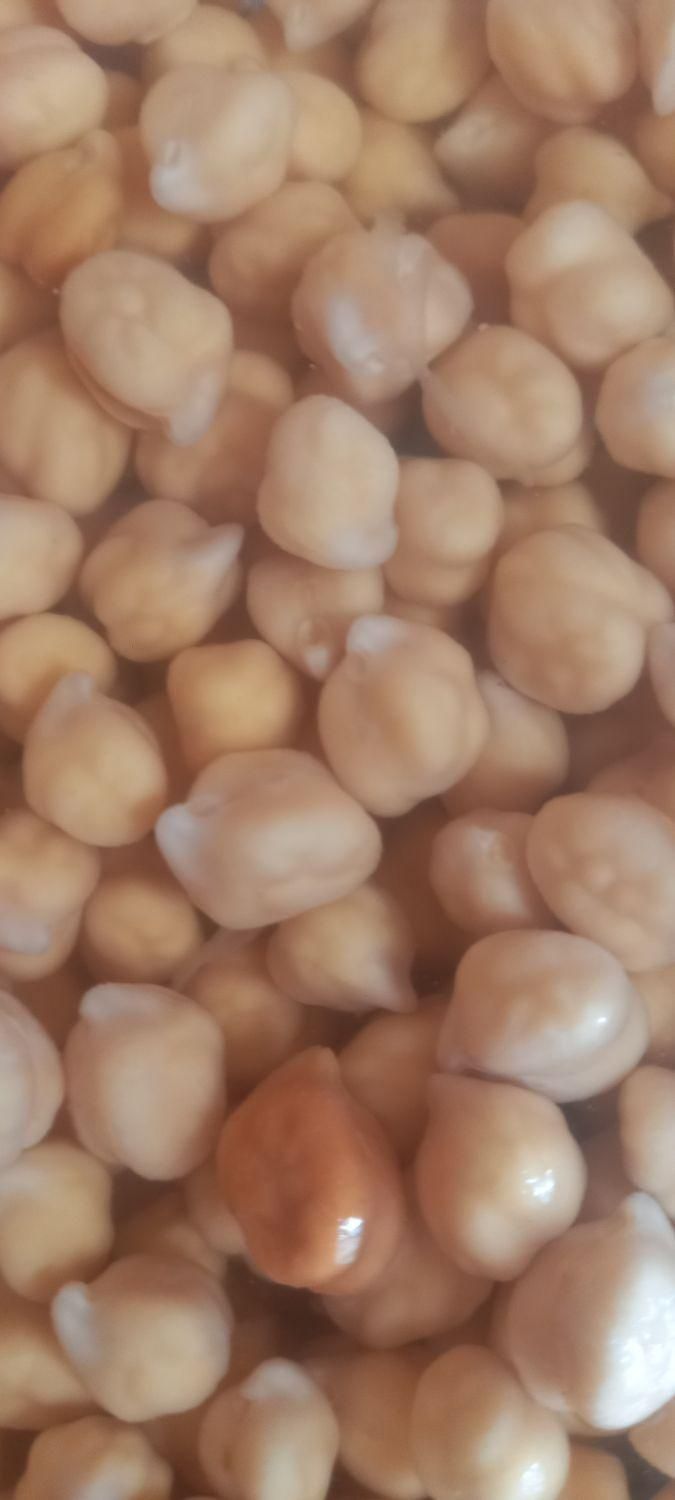 خمیرفلافل درجه یک مایه فلافل سوسیس بندری درجه یک|خوردنی و آشامیدنی|کرج, حصارک|دیوار