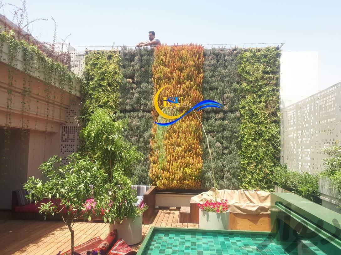 این پشت بام معرکه ست، هیچی کم نداره|گل و گیاه طبیعی|تهران, نیاوران|دیوار