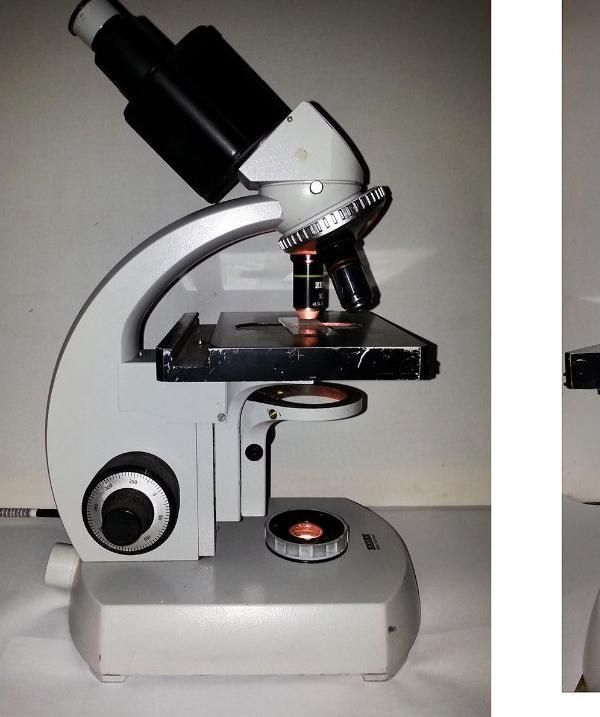 میکروسکوپ طبی آزمایشگاهی حرفه ای آلمانی و هلندی|پزشکی|تبریز, |دیوار