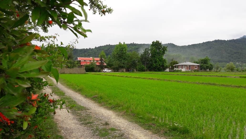 کد(100)ویلاباغ سه خوابه استخردار بدون واسطه ماسال|اجارهٔ کوتاهمدت ویلا و باغ|ماسال, |دیوار