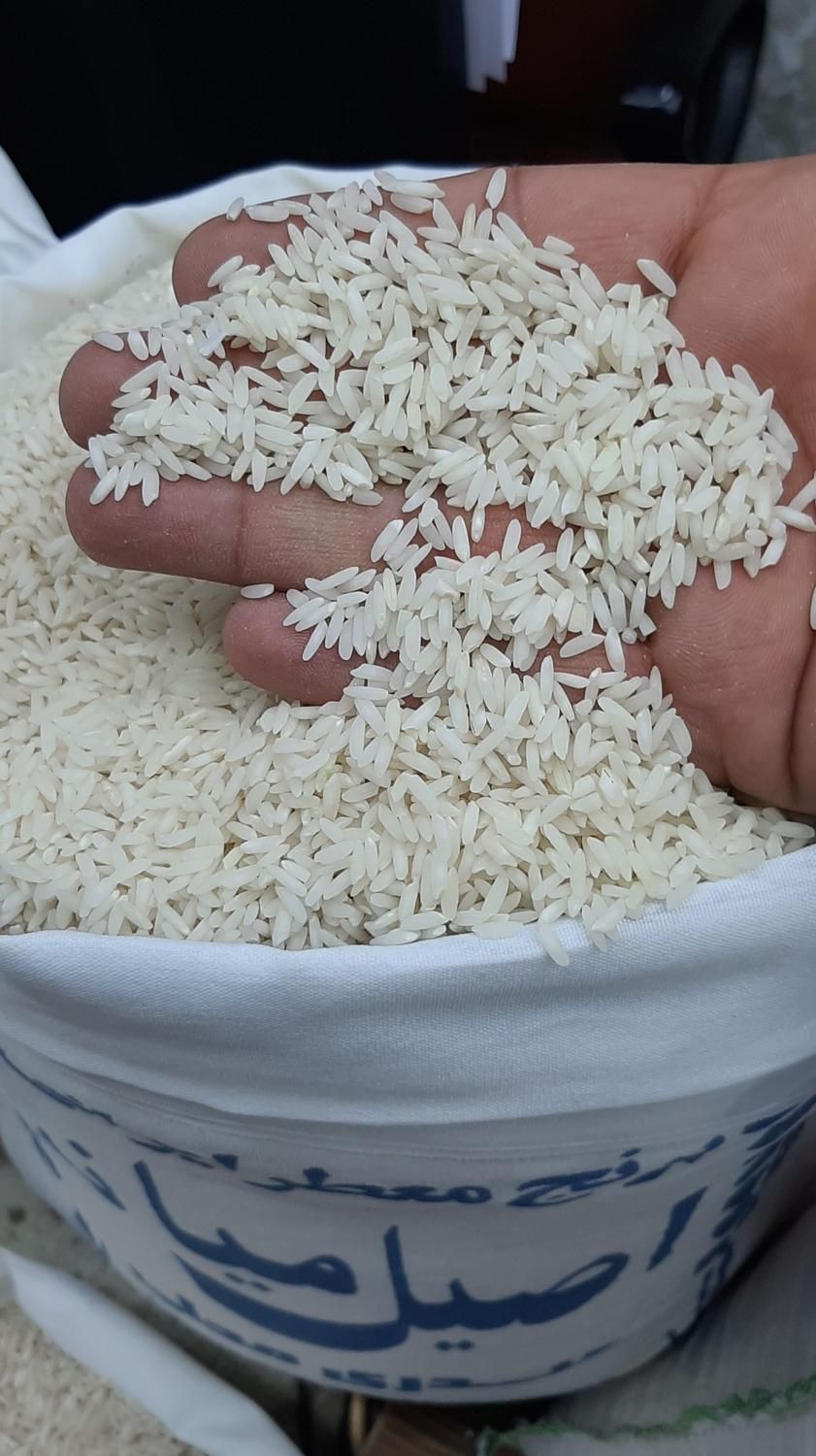 برنج ایرانی فوق معطر اصیل میانه ممان(ارگانیک،طبیعی|خوردنی و آشامیدنی|تبریز, |دیوار