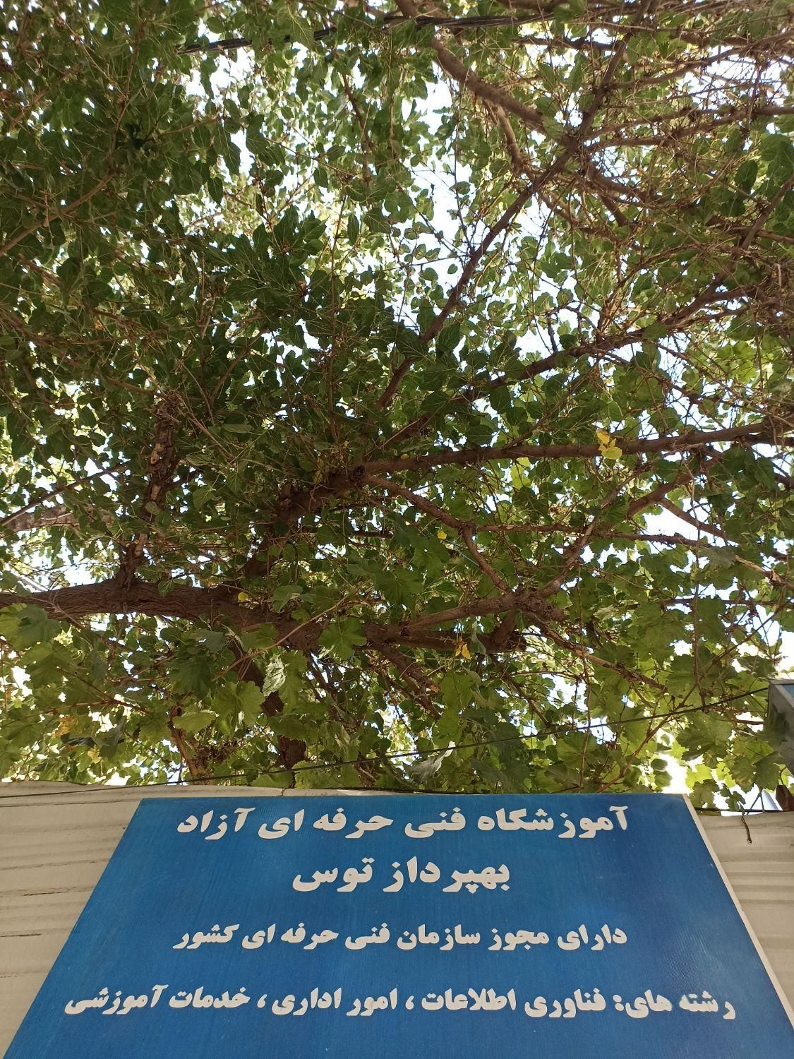 ازسیکل تا دیپلم و از دیپلم تا دانشگاه|خدمات آموزشی|مشهد, فدک|دیوار