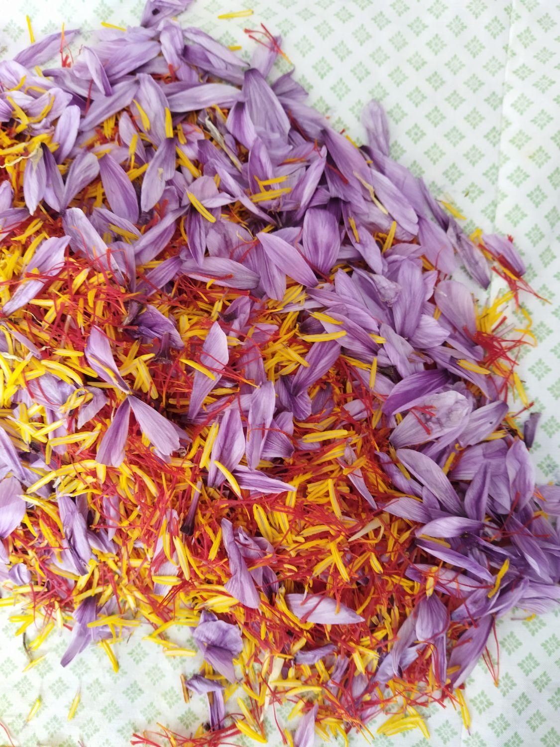 زعفران سرگل  ،  زعفران دسته  زعفران نرمه خراسان|خوردنی و آشامیدنی|تهران, فاطمی|دیوار