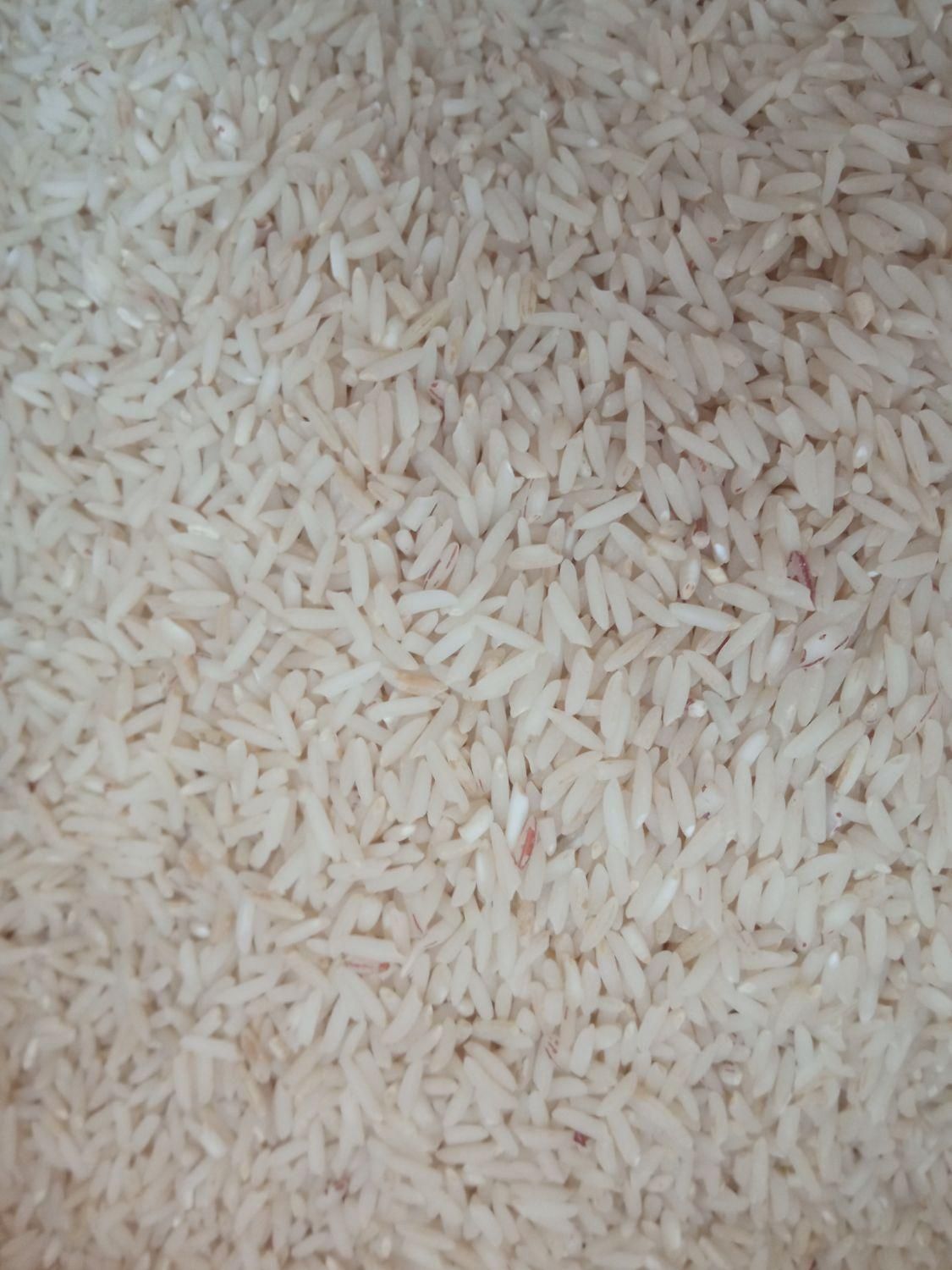 برنج دم سیاه اصل کلات نادر|خوردنی و آشامیدنی|مشهد, حسابی جنوبی (شهرک غرب)|دیوار