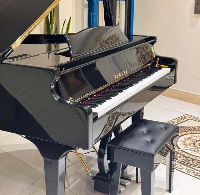 پیانو گرند دیجیتال|پیانو، کیبورد، آکاردئون|شیراز, رازی|دیوار