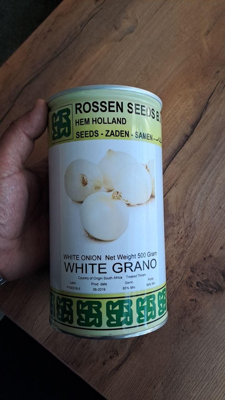 فروش ROSSEN SEED و انزا|خدمات باغبانی و درختکاری|اصفهان, باغ فردوس|دیوار