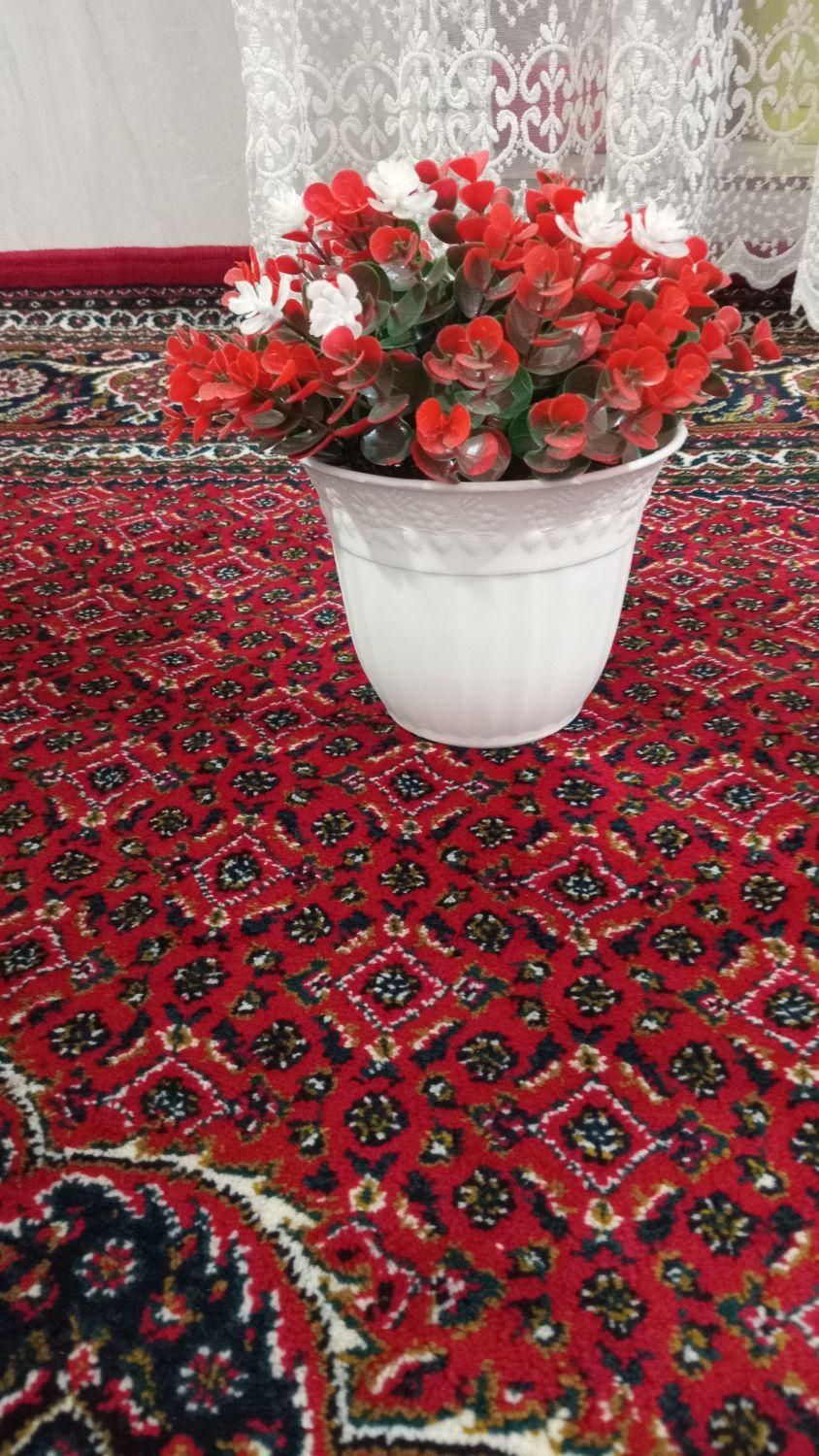 گل های درحد نو|گل مصنوعی|مراغه, |دیوار