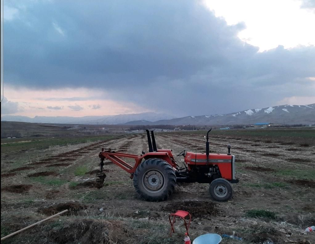 چاله فنس|خدمات باغبانی و درختکاری|الشتر, |دیوار