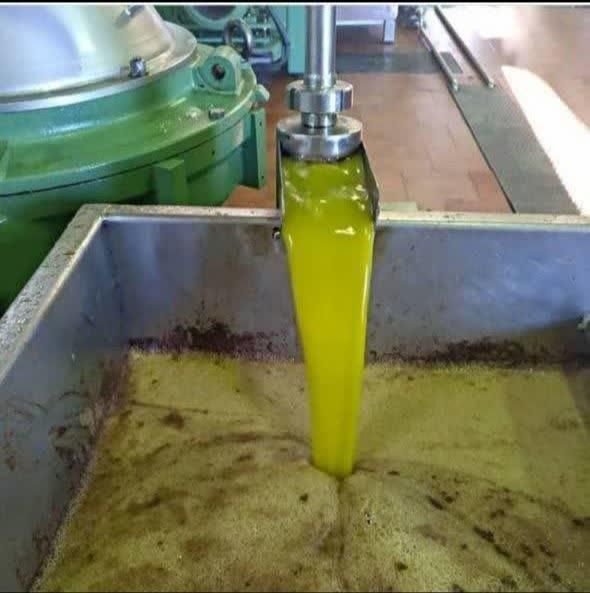 روغن زیتون بی بو و بابو مستقیم از تولید کننده|عمده‌فروشی|تهران, بازار|دیوار