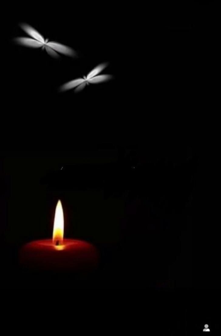 مداح و اکو|خدمات پذیرایی، مراسم|اراک, |دیوار