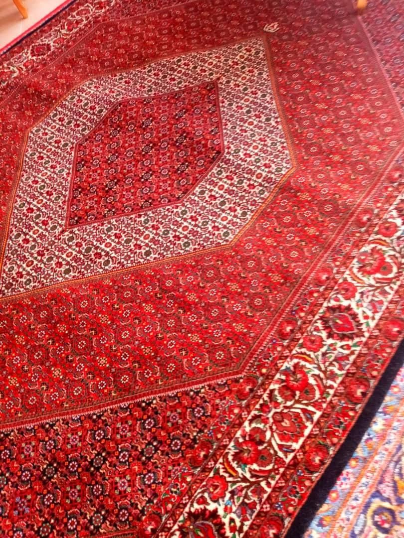 قالی شوئی ومبل شوئی نگین افشار|خدمات نظافت|فردیس, |دیوار