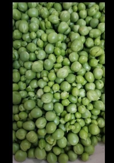 نخود سبز و عالی|خوردنی و آشامیدنی|تهران, نعمت‌آباد|دیوار