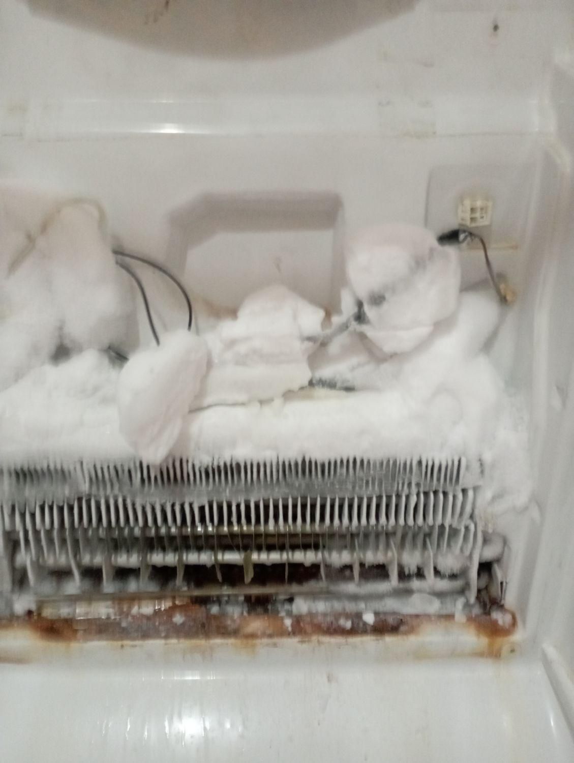 تعمیر یخچال خارجی پکیج لورچ لباسشویی|خدمات پیشه و مهارت|شیراز, پانصد دستگاه ارتش|دیوار