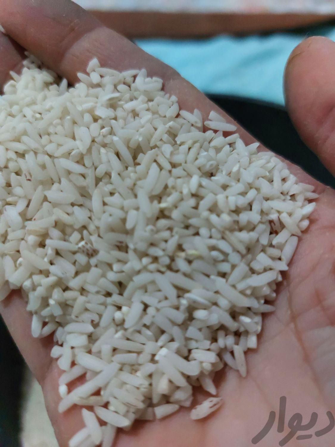 نیم دانه و برنج هاشمی|خوردنی و آشامیدنی|تهران, پونک|دیوار
