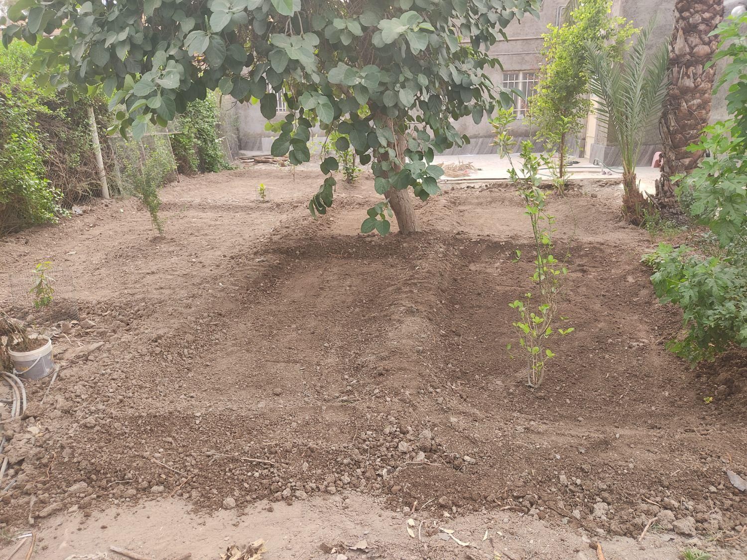 باغبانی بهار|خدمات باغبانی و درختکاری|آبادان, |دیوار