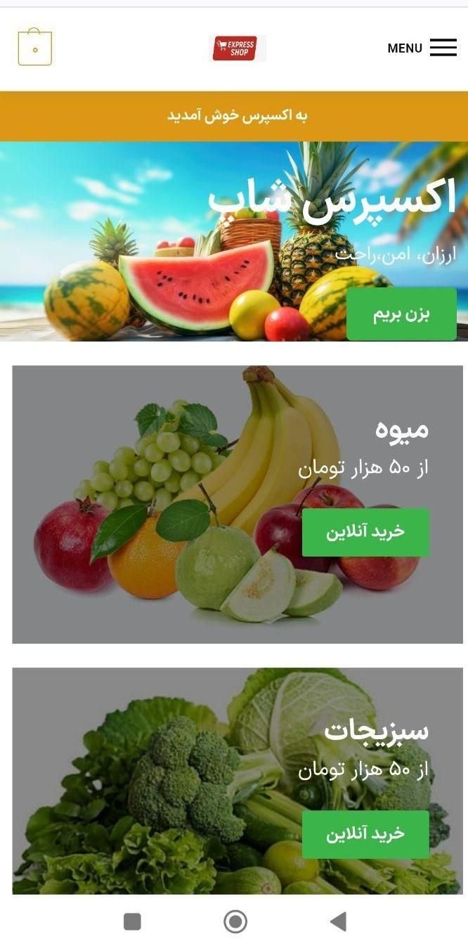 طراحی سایت فروشگاهی ارزان|خدمات رایانه‌ای و موبایل|رشت, شهرک صبا|دیوار