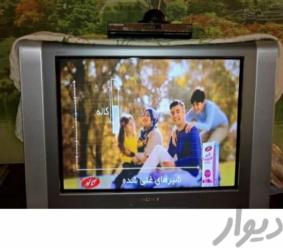تلویزیون ۲۹اینچ سونی (وگا)اصل ژاپن|تلویزیون و پروژکتور|تهران, دریاچه شهدای خلیج فارس|دیوار