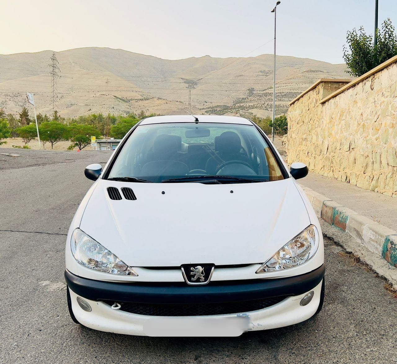 پژو 206 SD V8، مدل ۱۳۹۳|خودرو سواری و وانت|تهران, قلمستان|دیوار