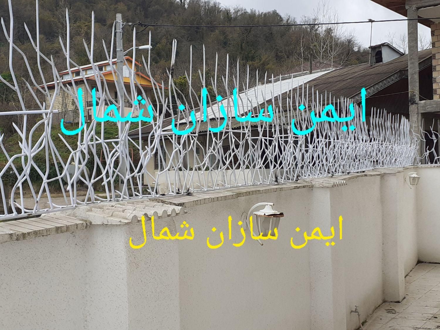 حفاظ شاخ گوزنی|خدمات پیشه و مهارت|رشت, جانبازان|دیوار